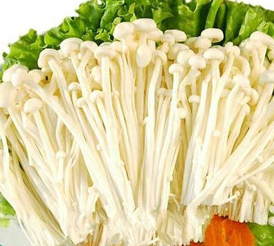 ܳԽᘹ