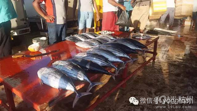 她游玩了全球近40個國家，只有這個地方改變了她