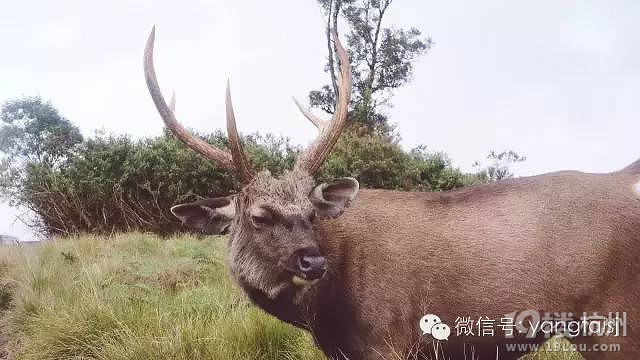 她游玩了全球近40個國家，只有這個地方改變了她