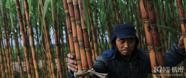 俺国男江山土特产古法月子土红糖-Shopping帮
