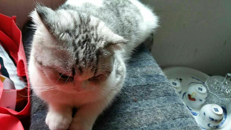 坦白从宽抗拒从严,老实交代谁干的!