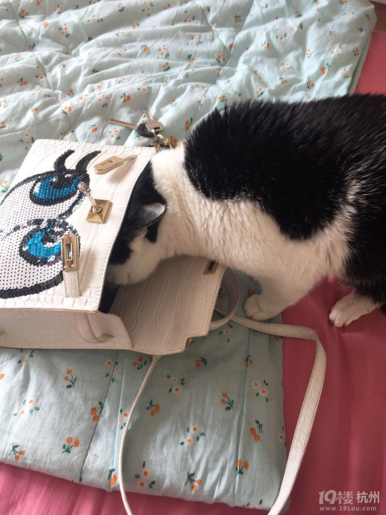 快过年了,拿点钱花花娶个媳妇-爱宠分享-家有宠