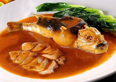 河豚的营养价值,这些你知道吗-宝妈知识大全-杭