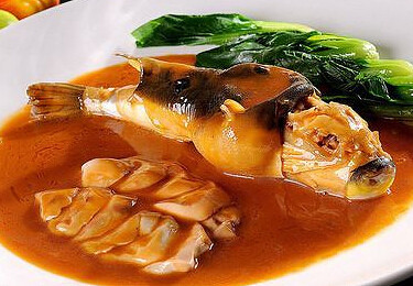 河豚鱼的营养价值,这些你可知道-宝妈知识大全