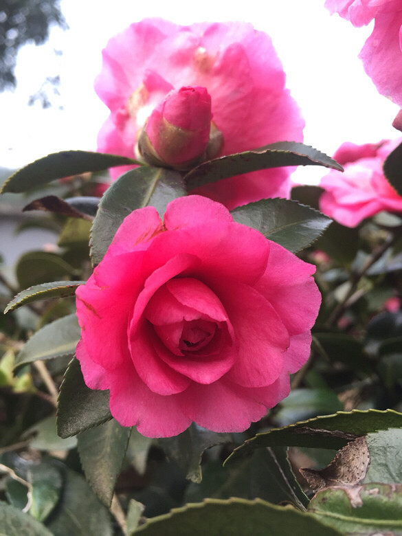 軨ʢ_ZҲѳL˽