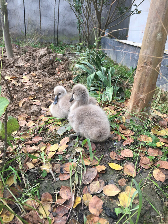 軨ʢ_ZҲѳL˽