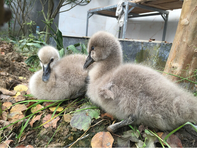 軨ʢ_ZҲѳL˽ţ