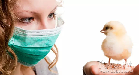 上海发现一例 H7N9 确诊病例 这六点请大家注