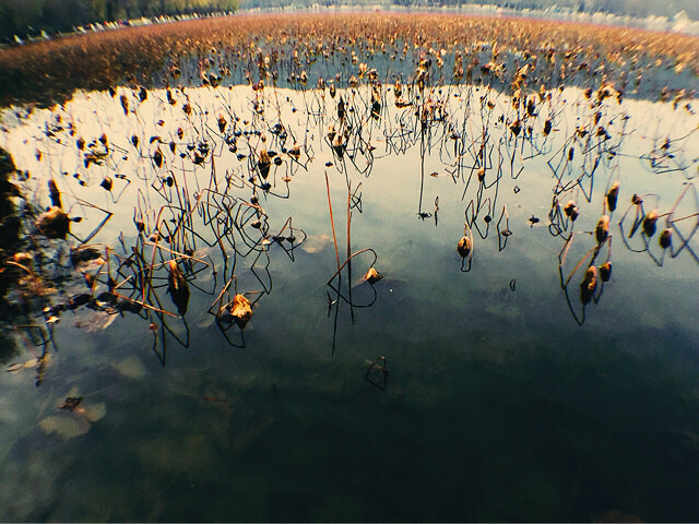 今日阳光甚好-手机随手拍-杭州19楼