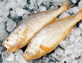 小黄鱼的营养价值,你了解了没?-宝妈知识大全