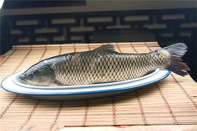 孕妇能吃青鱼吗?吃青鱼补气血!-宝妈知识大全