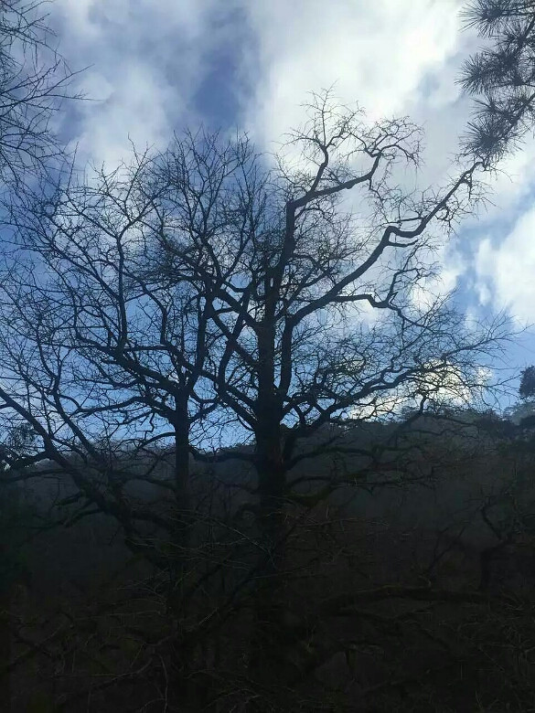 晩安-大杭州旅游-杭州19楼