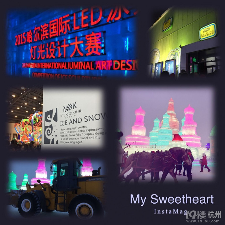 【你好2016】一只南方狗的北國(guó)之旅