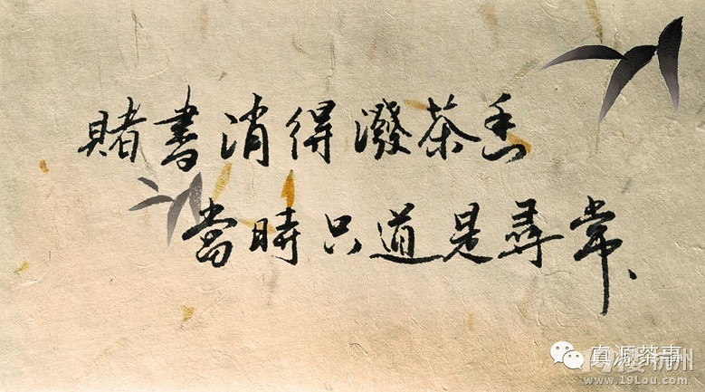 【一诗一茶一冬日】--赌书消得泼茶香-休闲商家