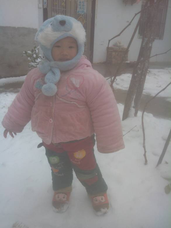 2016㡿ѩ
