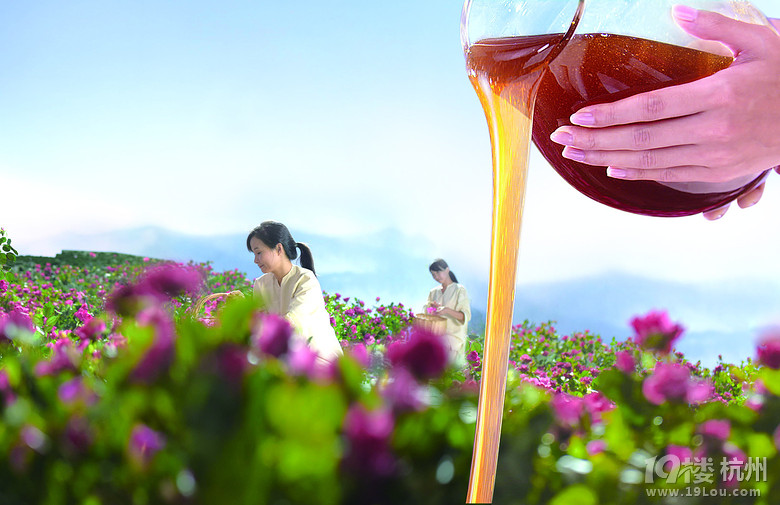 美素限量瑰蜜露馬卡龍禮盒 即刻開(kāi)始預(yù)定