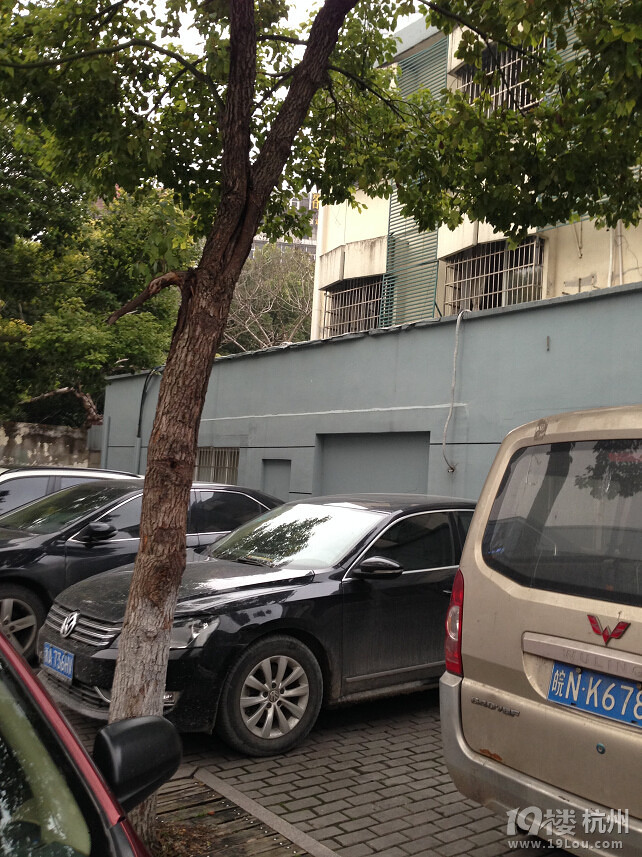 ǽɅ^(q)·@λlǹN^PΆһ