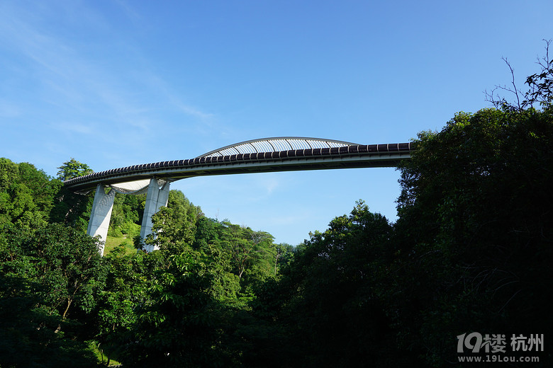 非常新加坡