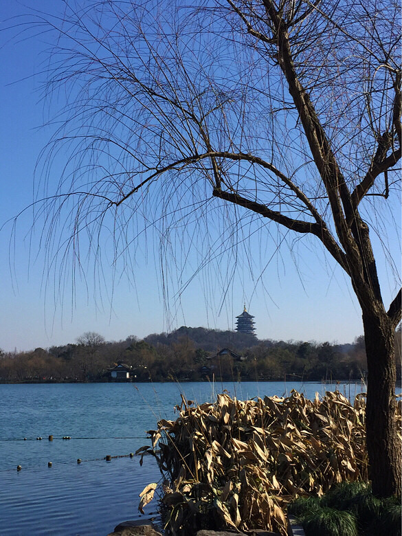 天空藍得像一顆寶石,透亮、明潔. 藍得像
