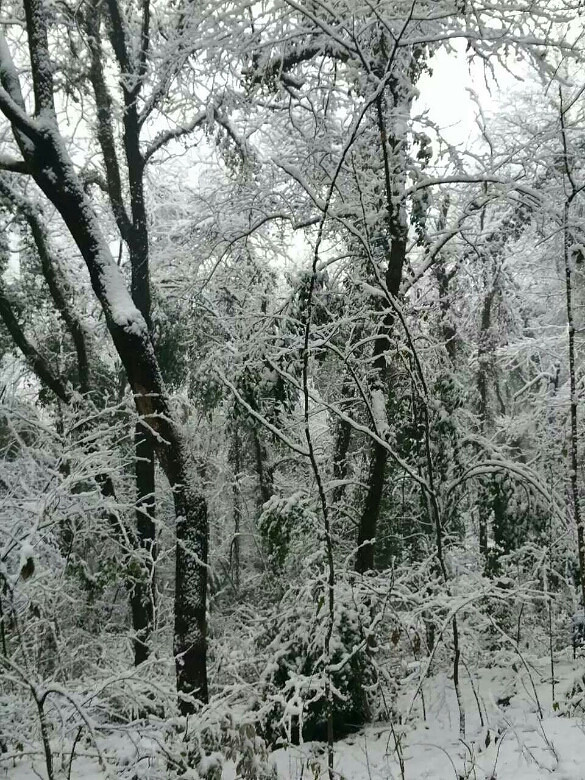 玉皇山雪景