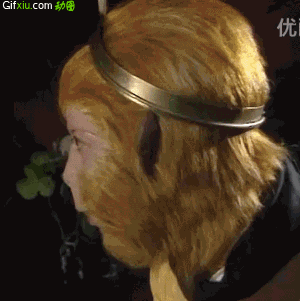 央视猴年春晚女主持人 我们都变了她的妆没变