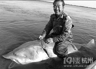 游客在哈爾濱吃的天價(jià)魚 同一家店 杭州王女士也吃了