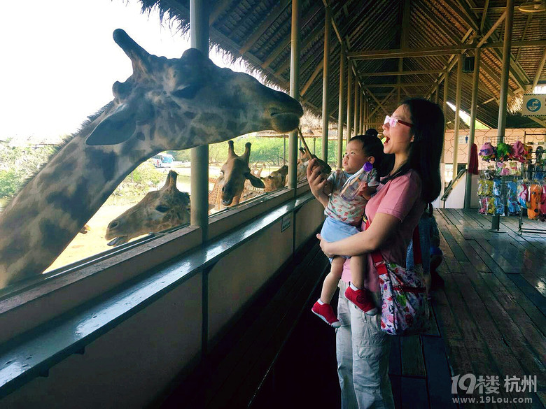 ҵĻӴ(ji)һqԪ⡰K÷uħ֮ã꣩