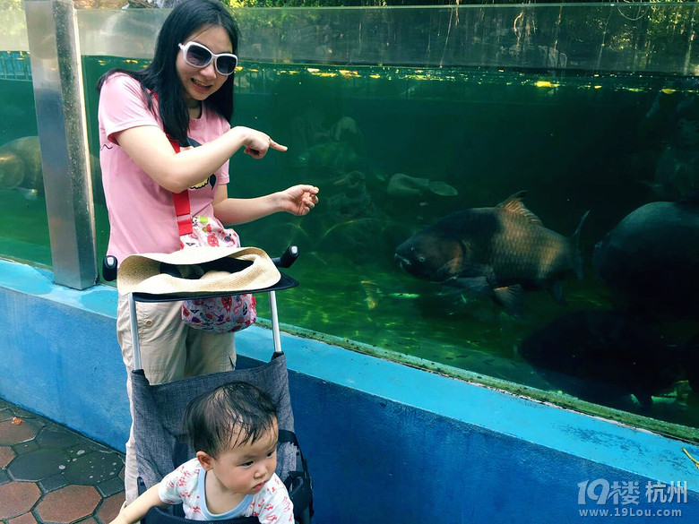 ҵĻӴ(ji)һqԪ⡰K÷uħ֮ã꣩