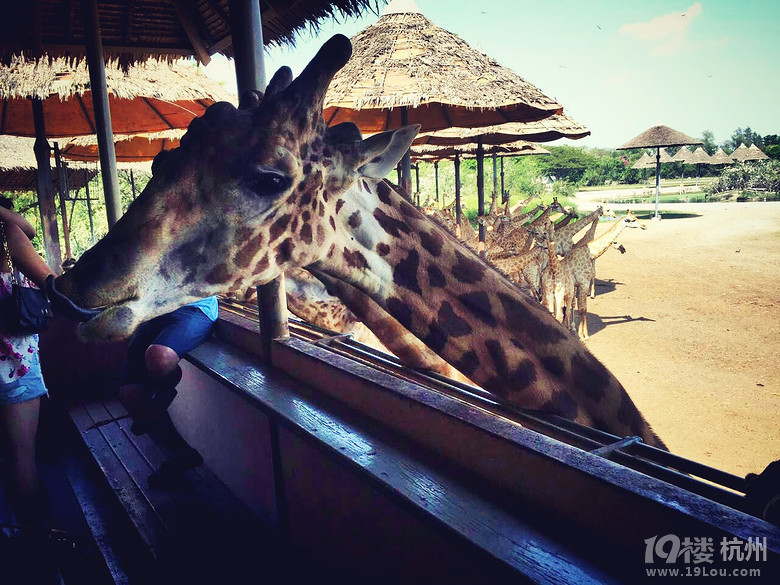 ҵĻӴ(ji)һqԪ⡰K÷uħ֮ã꣩