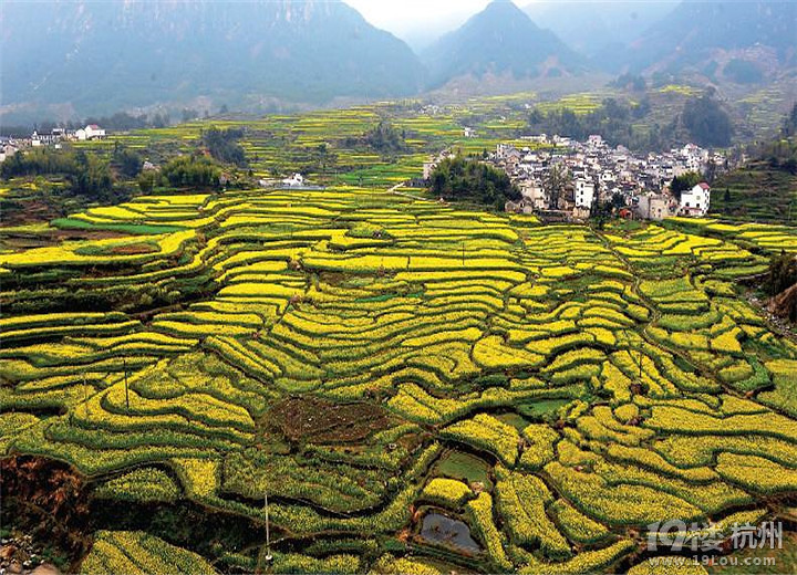 3.26,徒步荆坎古道,探寻家朋隐秘花海