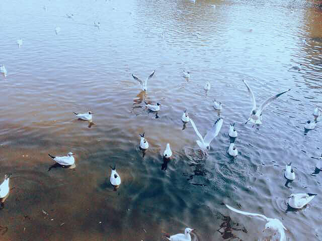 ֱҺ۵21