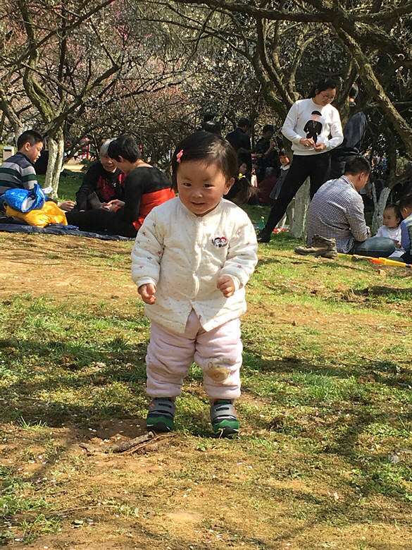 ޵Ĵ졿