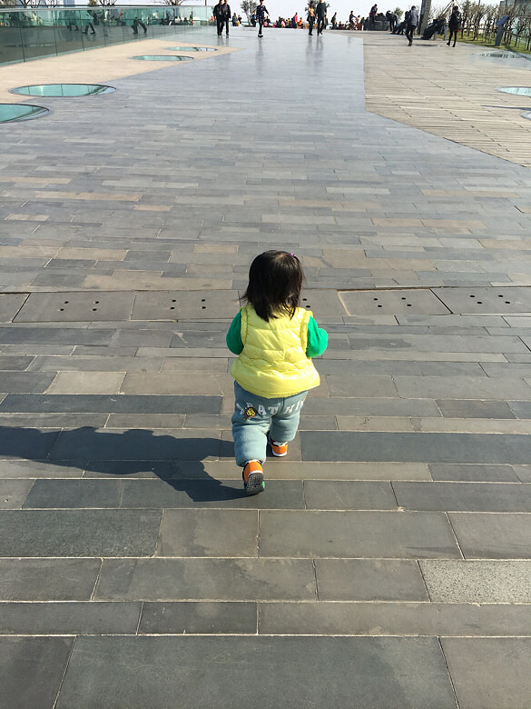 ޵Ĵ졿