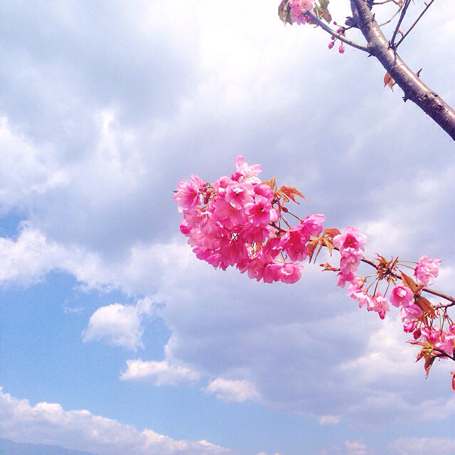 ֱҺ۵21