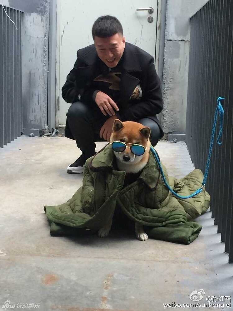 组图:《极限挑战》录制 狗狗撞脸黄渤孙红雷