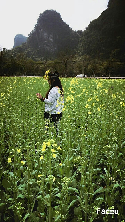 陽朔十里畫廊油菜花