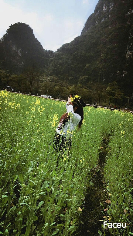 陽朔十里畫廊油菜花