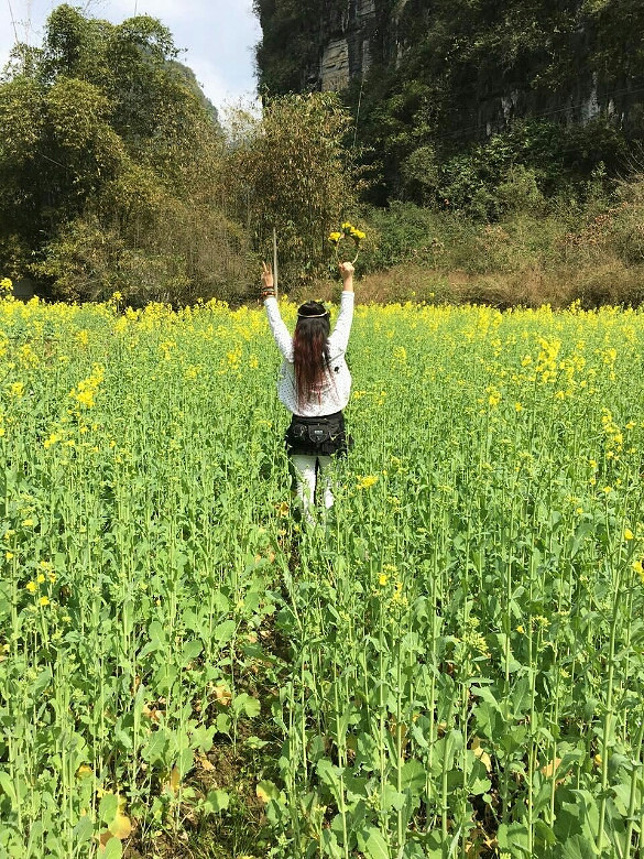 陽朔十里畫廊油菜花