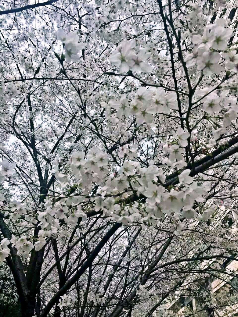 個人感覺，不比日本差！