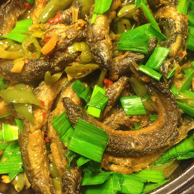 【楚家私房菜】系列之一百叁拾貳：紅燒泥鰍