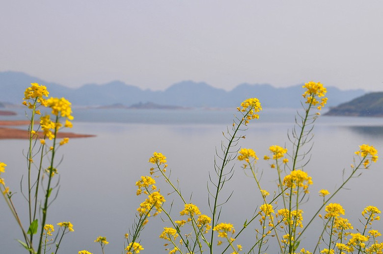 千島湖一景