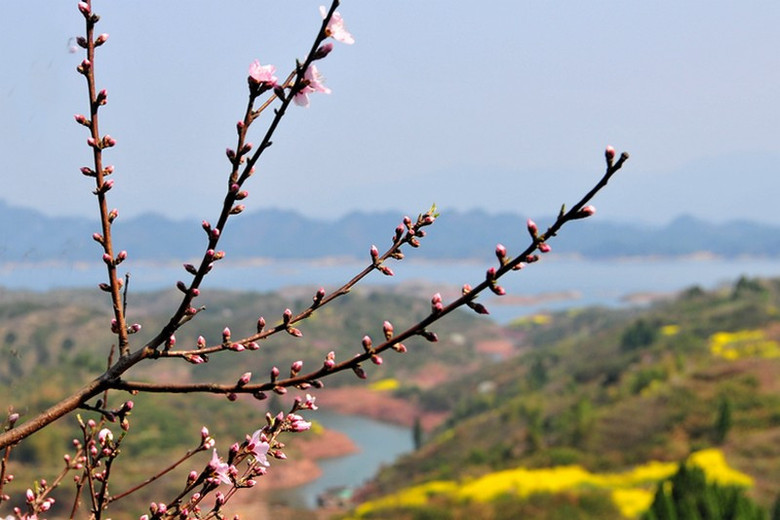 千島湖一景