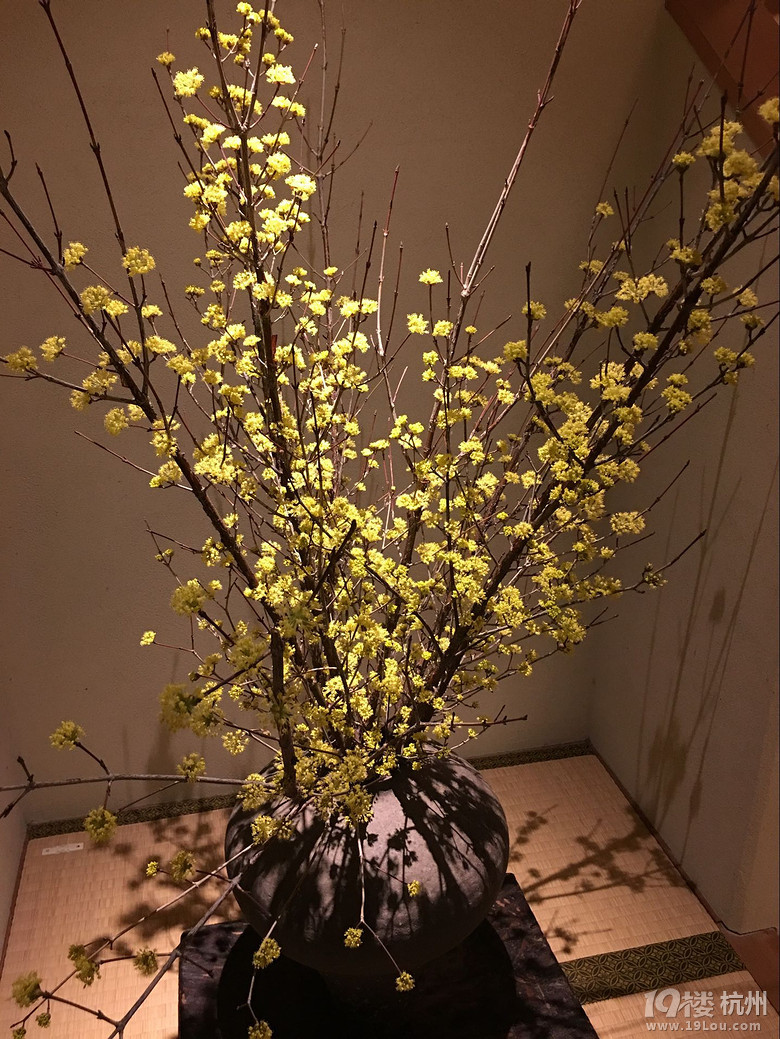 【曬酒店】分享你住過的酒店 贏民宿“山中小筑”免費(fèi)入住券