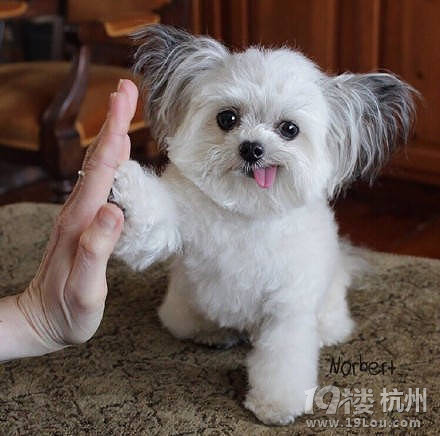 Give me five