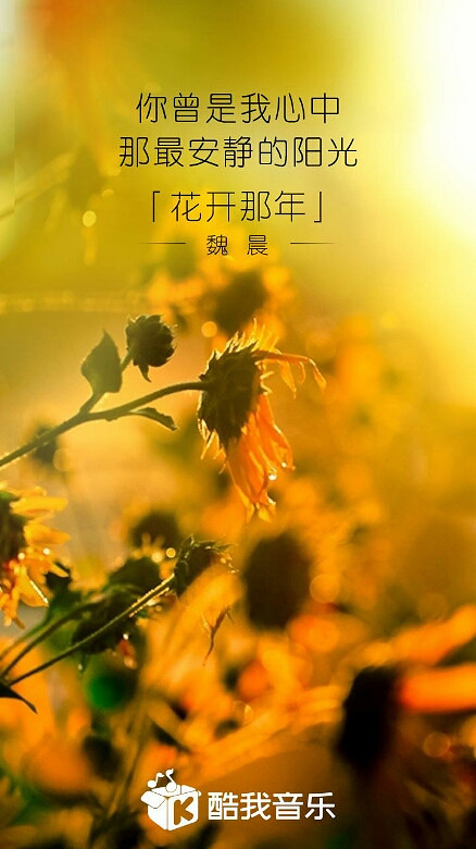 摘圖