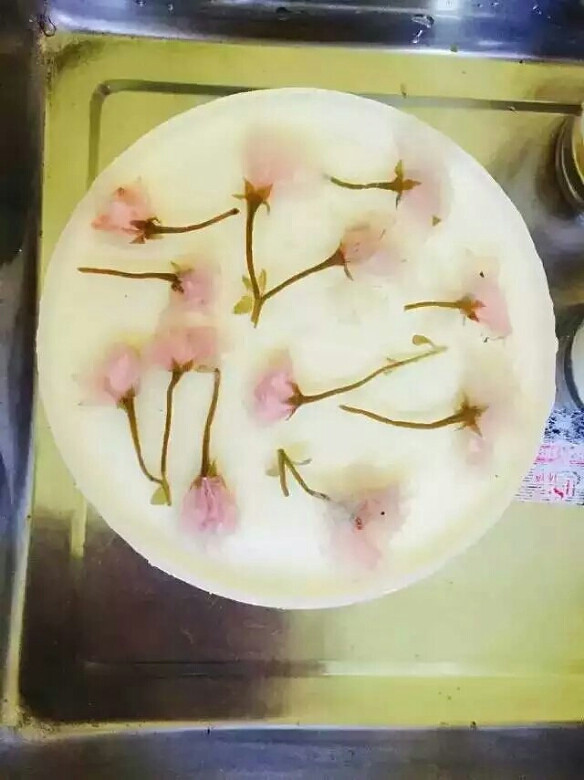 rˣѻĽ˹
