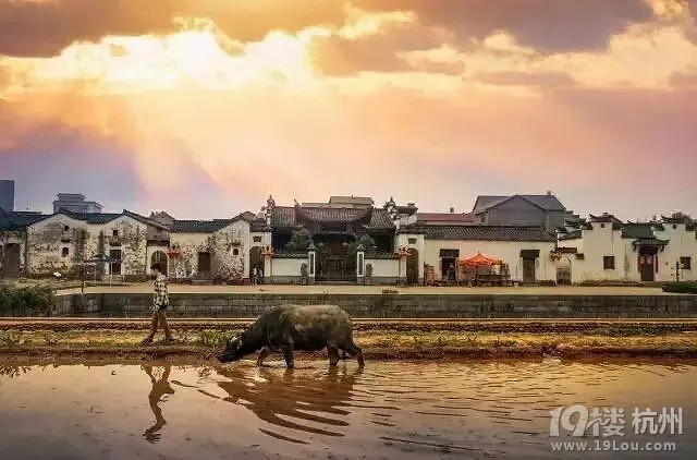 浙江9个人少景美的小众旅行地