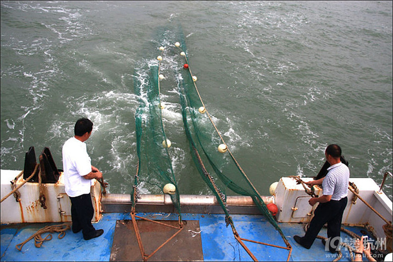 象山石浦 豪華游艇出海拖網(wǎng)捕魚！
