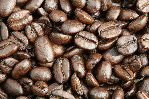 阿拉比卡咖啡豆是什么