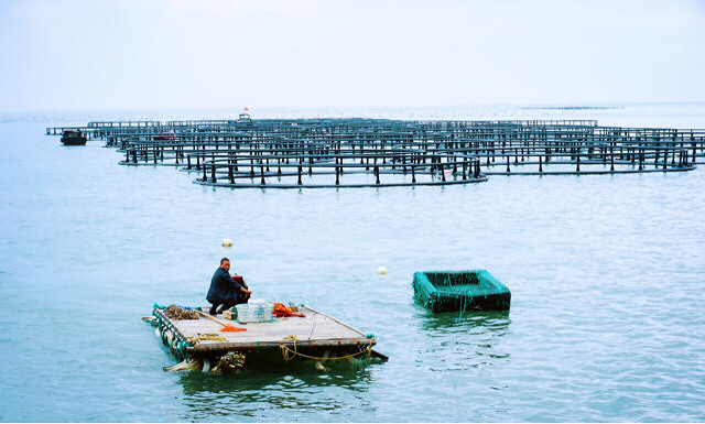 _ݴꐍuһokĵط